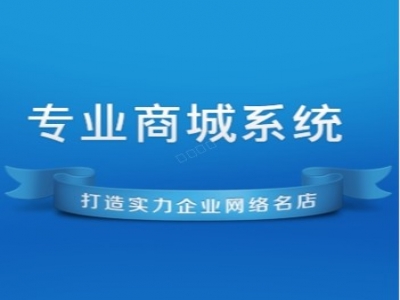 专业商城系统